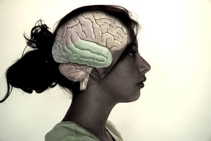evolutionary psychology woman brain