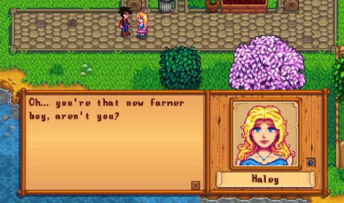 shes just not that into you stardew valley haley